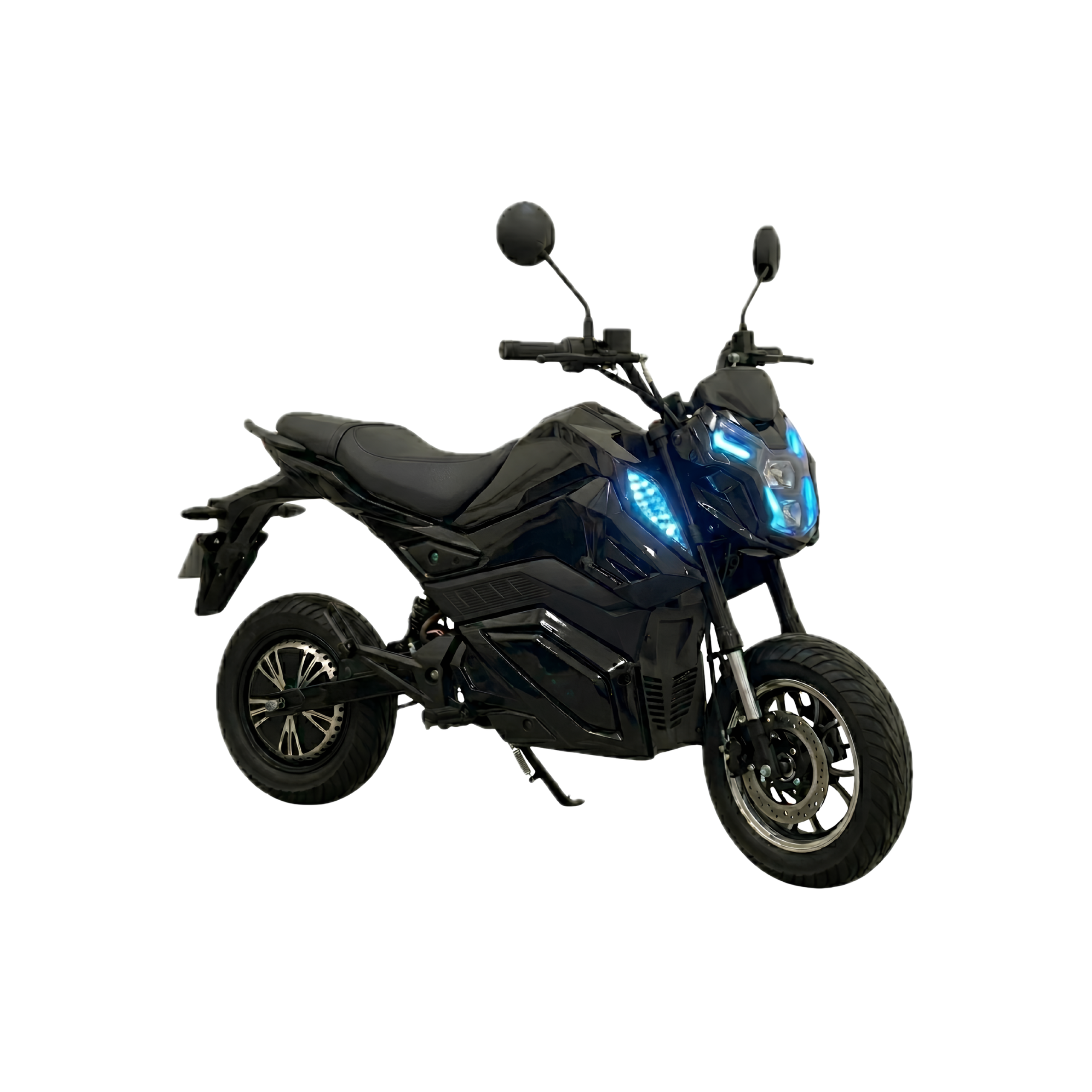 Gekko Tiger - BLACK