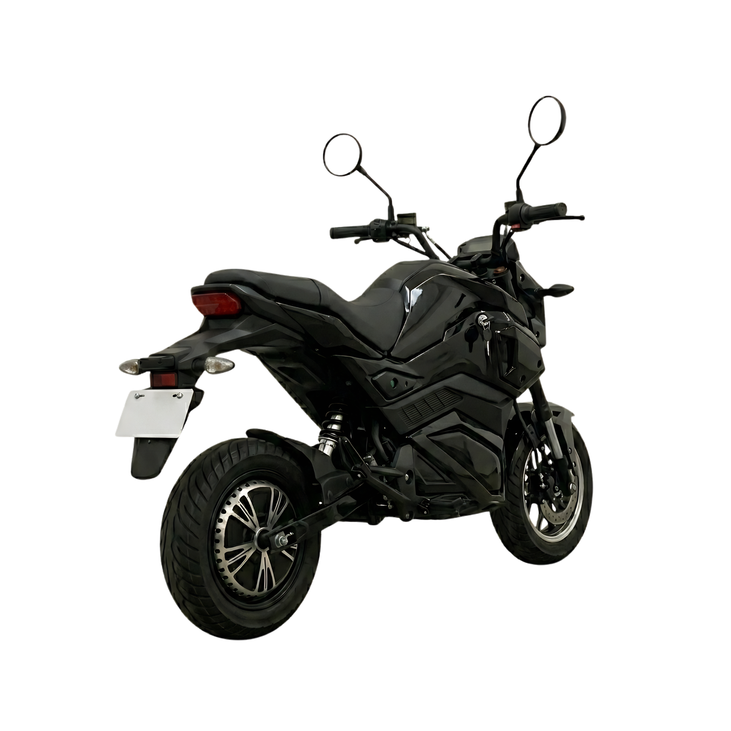 Gekko Tiger - BLACK