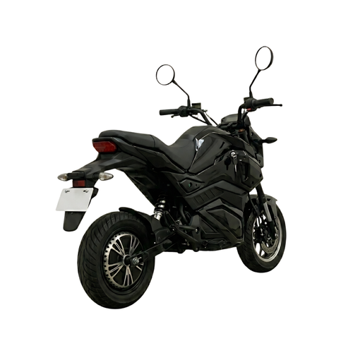 Gekko Tiger - BLACK
