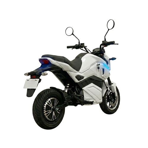 Gekko Tiger - WHITE